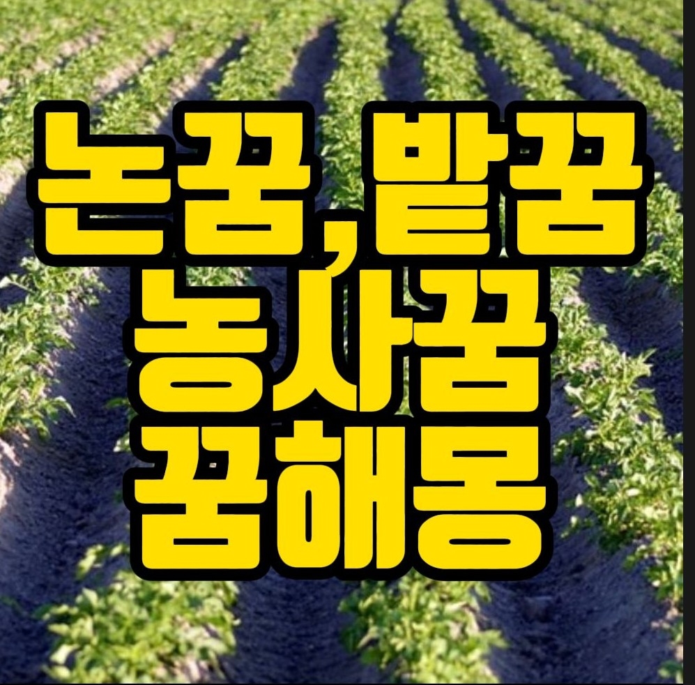  [꿈해몽] 논꿈, 밭꿈, 농사짓는꿈, 밭가는꿈, 논두렁꿈, 감자깨는꿈, 논밭파는꿈, 논밭꿈 꿈풀이