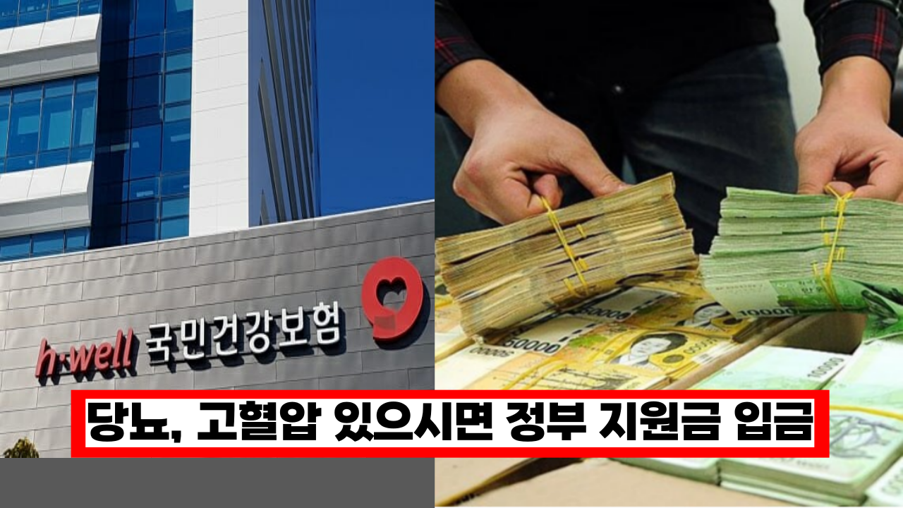  당뇨, 고혈압 있으시면 이 정부 지원금 꼭 받아가세요. 이렇게 하면 현금 입금 됩니다.