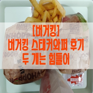  [버거킹] 버거킹 스태커와퍼 후기 두 개는 힘들어