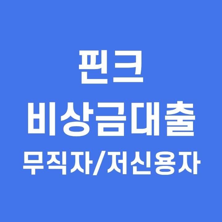  핀크 비상금대출 금리 저신용자 무직자 대출