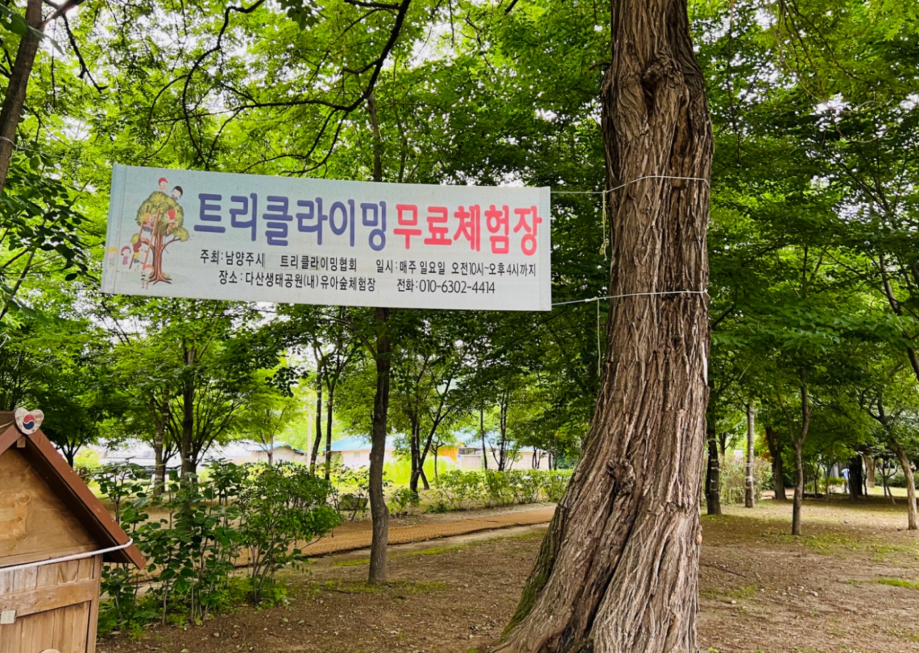 남양주-다산생태공원-트리클라이밍-무료체험장-정보