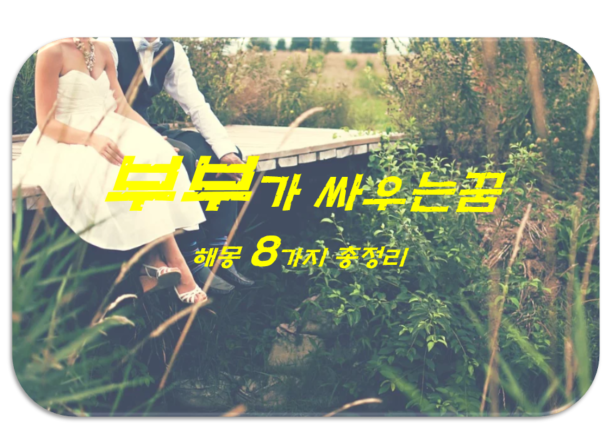  부부가 싸우는 꿈 해몽 8가지 총정리