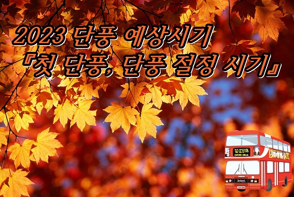  2023 단풍시기(단풍지도) 단풍명소, 화담숲 단풍축제 예약하기
