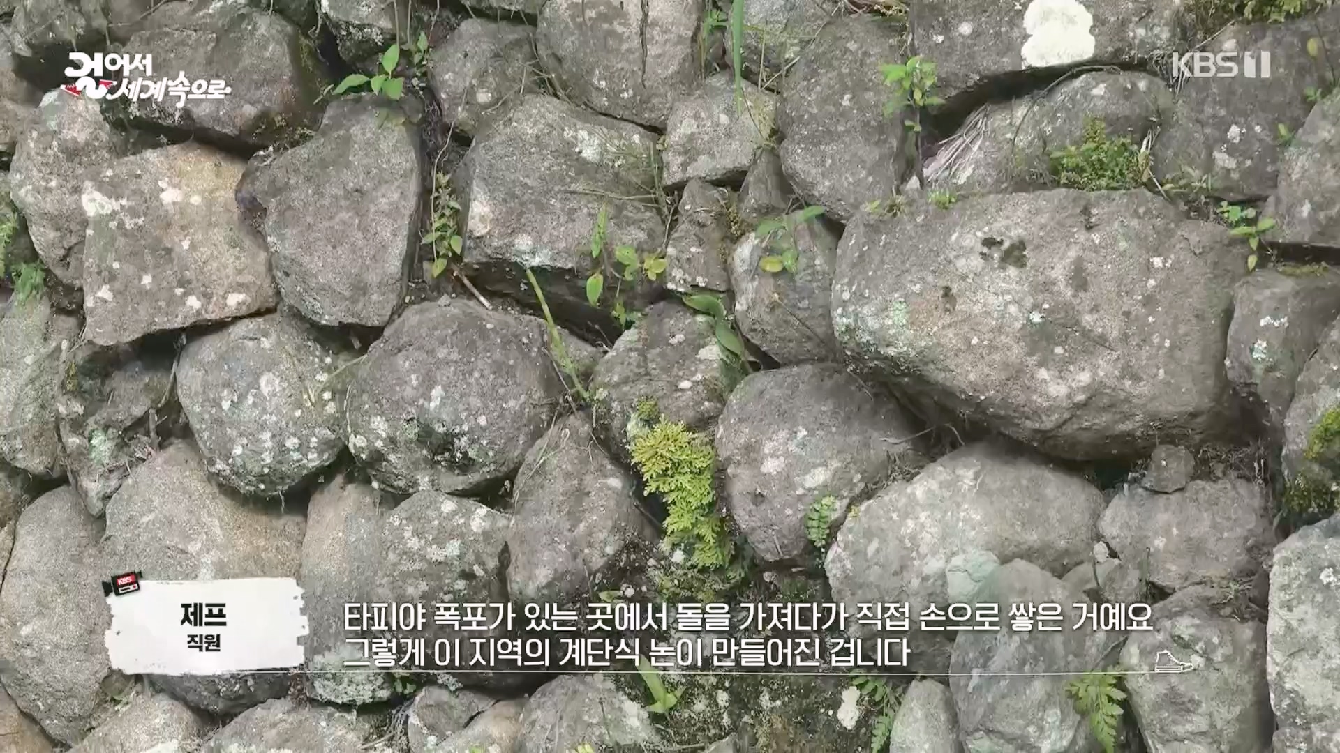 걸어서 세계속으로.E810.230930p.H264-F1RST.mp4_20231007_175815.019.jpg