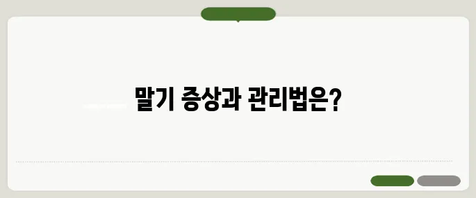 만성 폐쇄성 폐질환 말기의 증상과 관리 방법