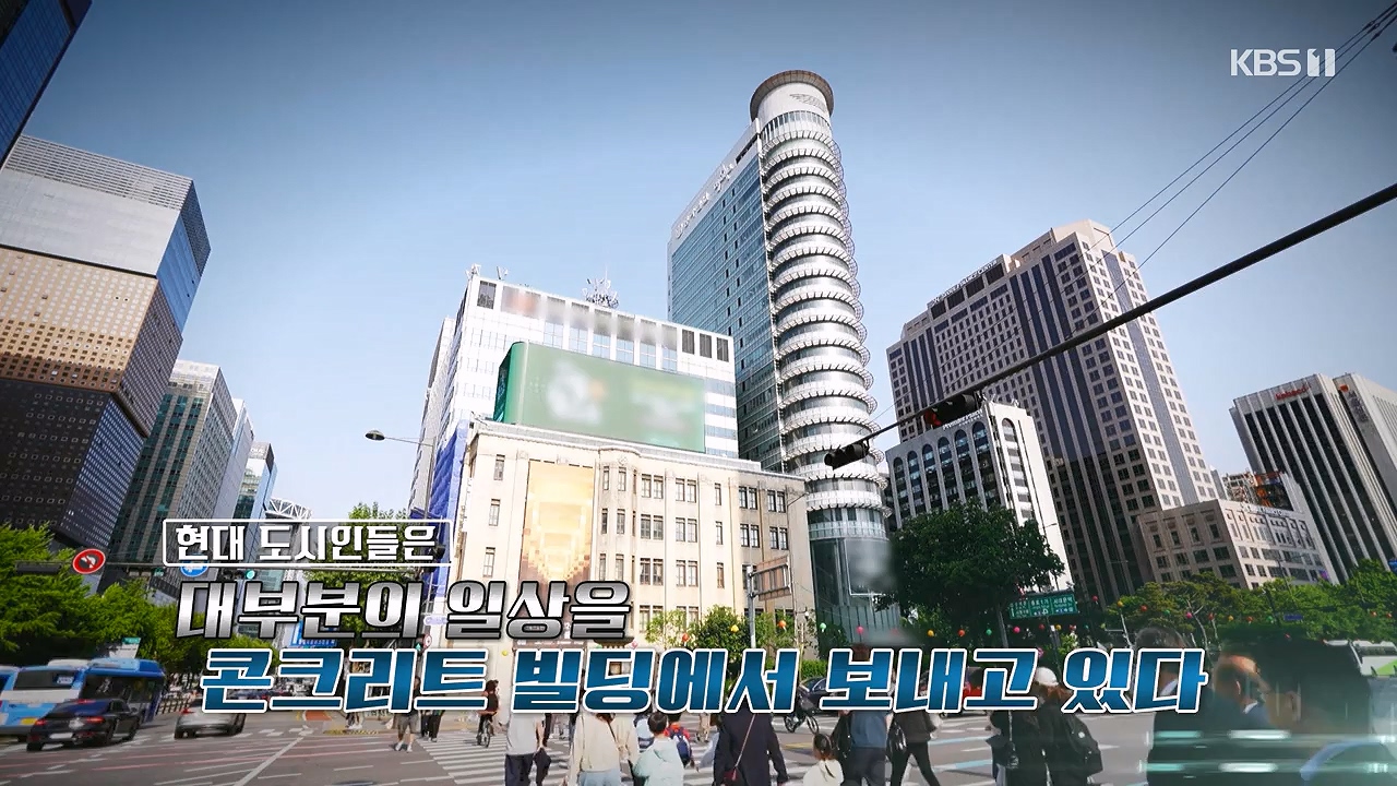 다큐 온.E256.240707p-NEXT.mp4_20240707_163206.009.jpg