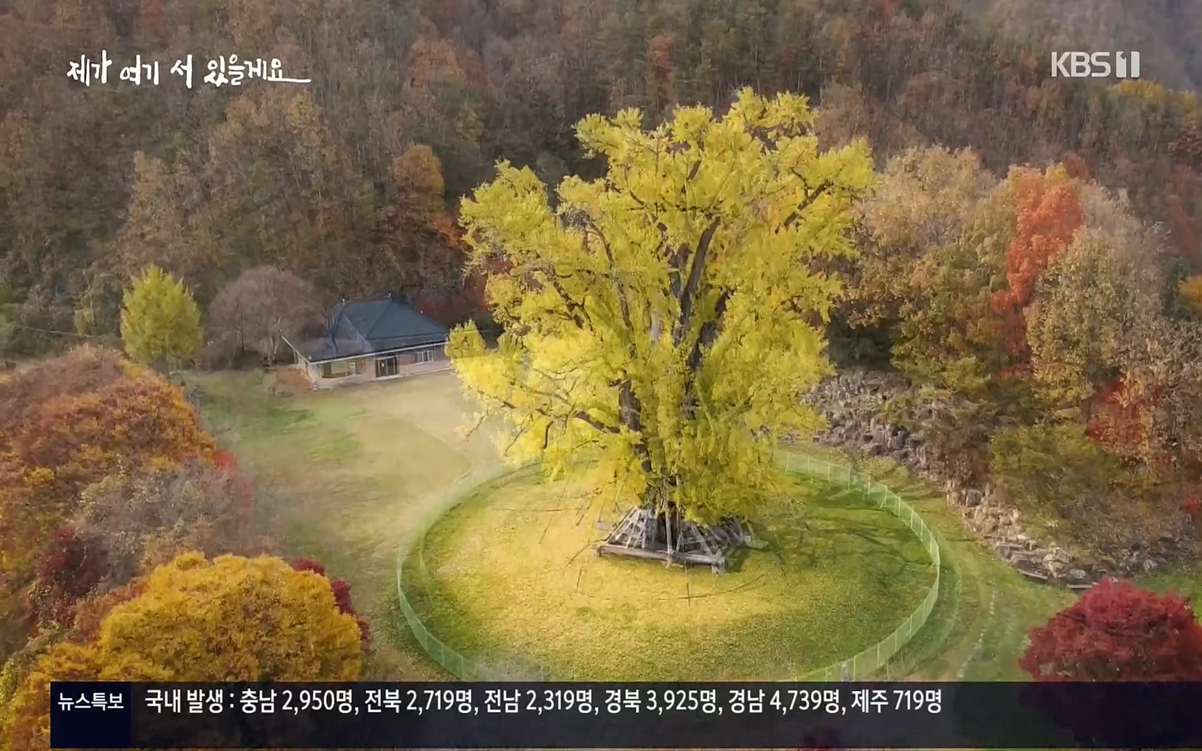 다큐 인사이트.E124.220908p.H264-F1RST.mp4_20220912_143722.355.jpg
