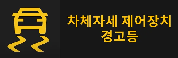 차체-자세-제어-장치-경고등