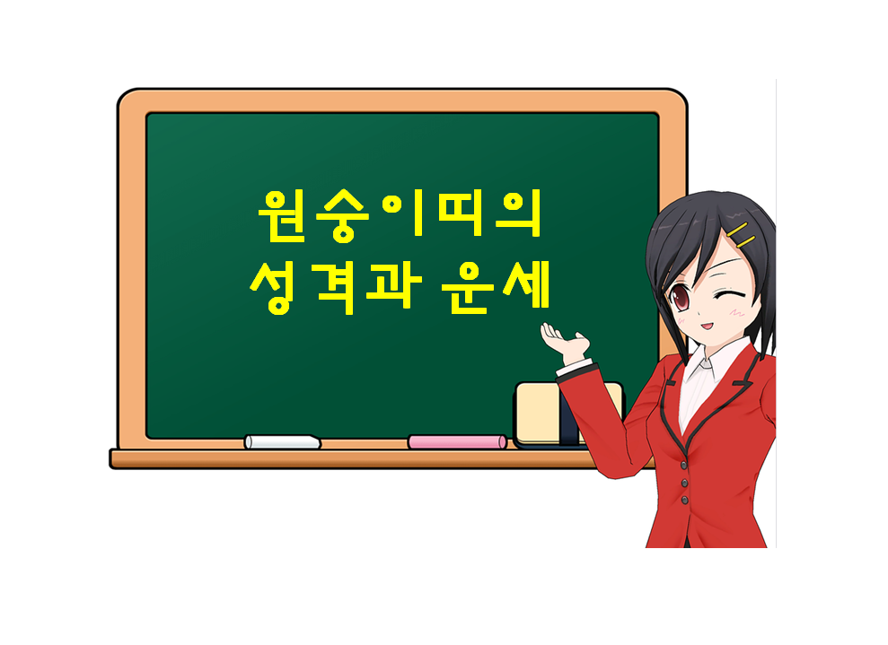  원숭이띠의 성격과 운세, 원숭이띠에 대해 궁금하다면?