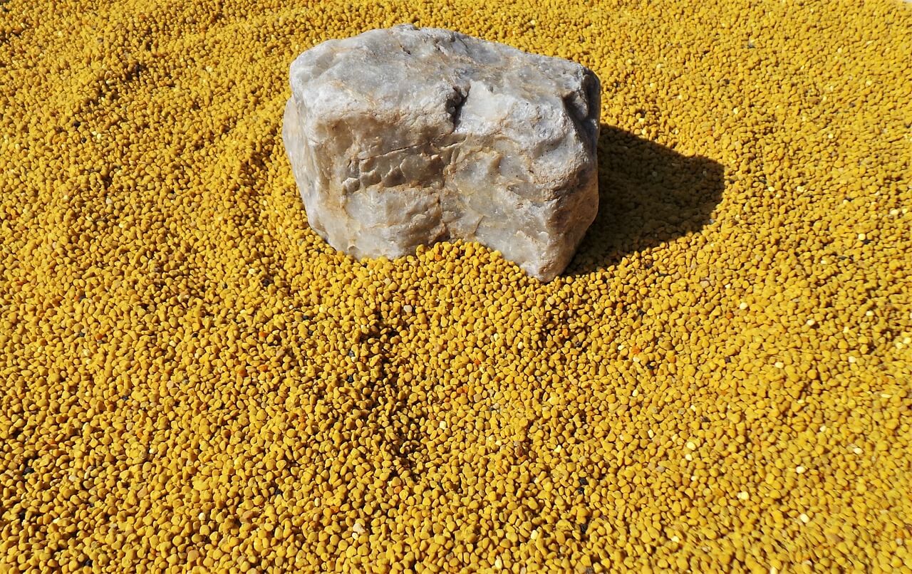 벌화분(Bee pollen)2