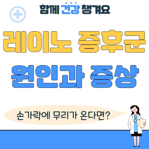 레이노 증후군 원인 증상 치료 예방