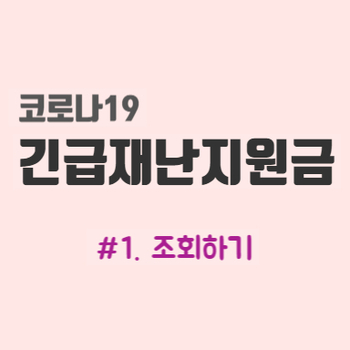  긴급재난지원금 #1. 조회하기
