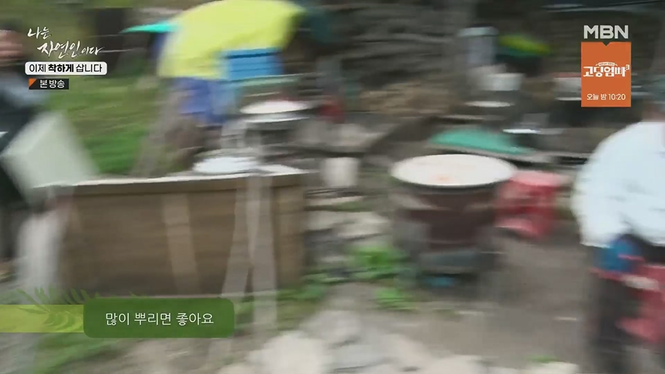 나는 자연인이다.E560.230628p.H264-F1RST.mp4_20230701_182658.196.jpg