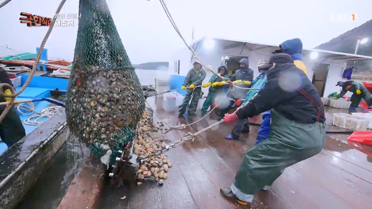 TV - 전 국민의 평생학교 EBS봄의 전령사! 새조개, 미나리, 주꾸미.mp4_20240316_171245.628.jpg