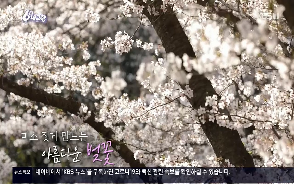 6시 내고향.E7510.220414p.H264-F1RST.mp4_20220419_184651.896.jpg