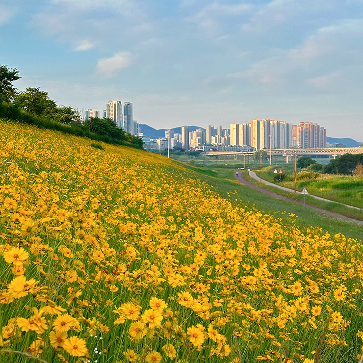 금강보행교