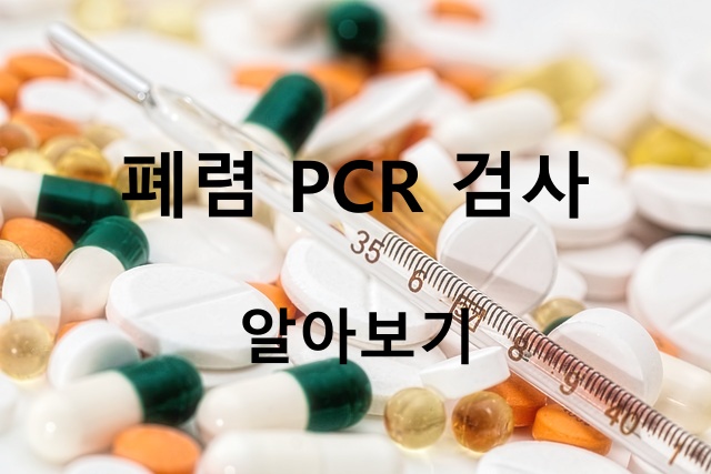 폐렴-PCR-검사