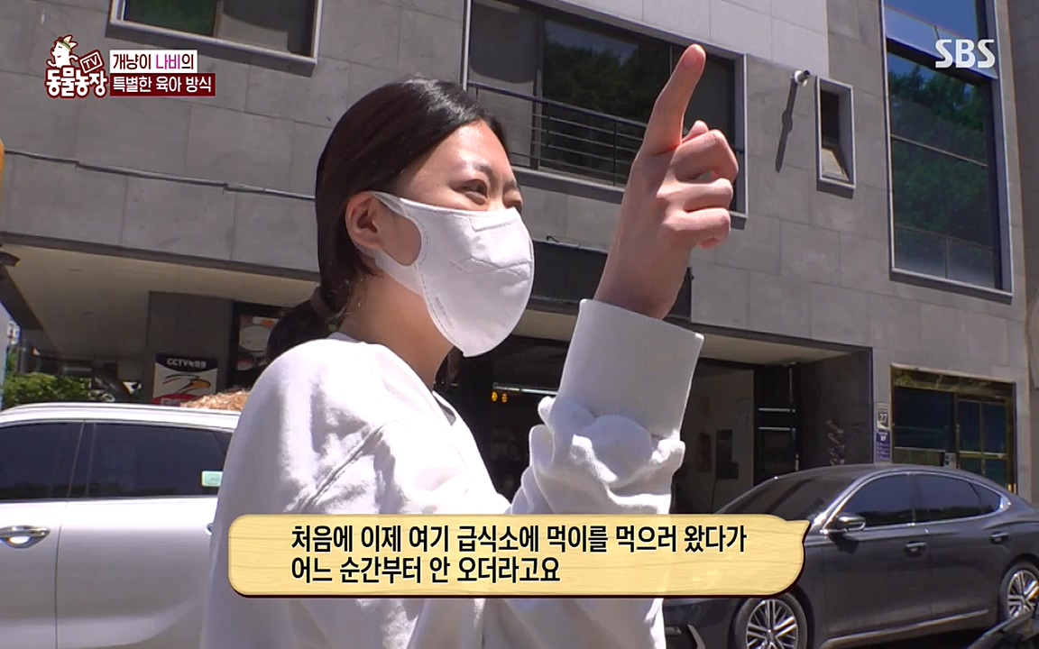 TV 동물농장.E1075.220627p-NEXT.mp4_20220626_175613.384.jpg