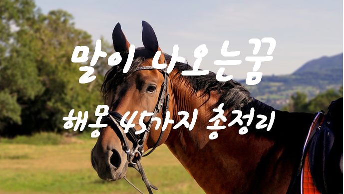  말꿈 해몽 45가지 총정리