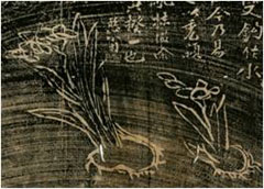  秋史와 다산의 水仙花 /설렁줄 비공개  야생화. 나무. 숲.