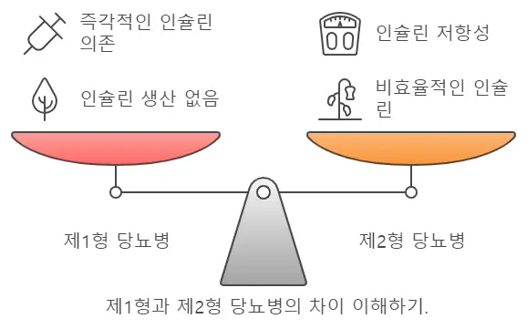 당뇨병 유형