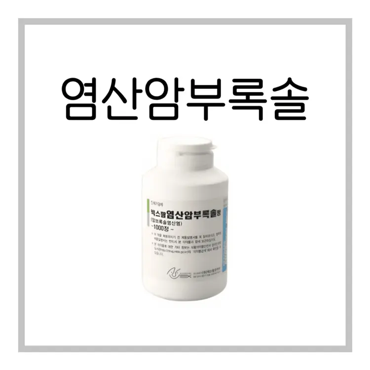넥스팜염산암부록솔정-이미지