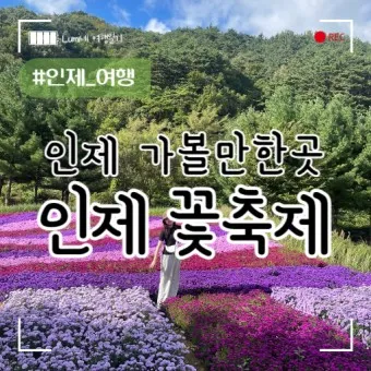 인제 가볼만한곳 베스트10 현지인 추천 필수코스_12