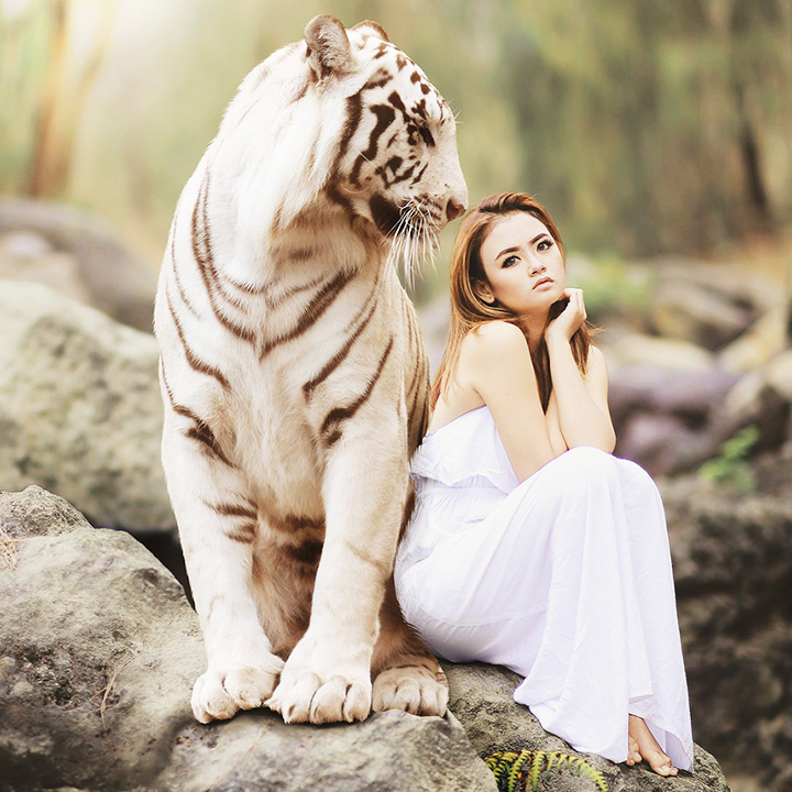 흰색-호랑이-백호와-여자가-바위에-나란히-앉아있는-모습