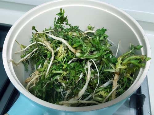 2월 제철 반찬 : 냉이된장무침 맛있게 만드는 법 2. 냉이 데치기