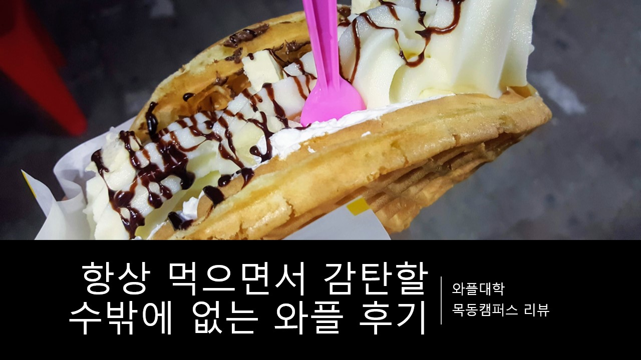  항상 먹으면서 감탄할 수밖에 없는 와플대학 메뉴 소개 추천 후기, 리뷰 (와플 대학 목동캠퍼스)