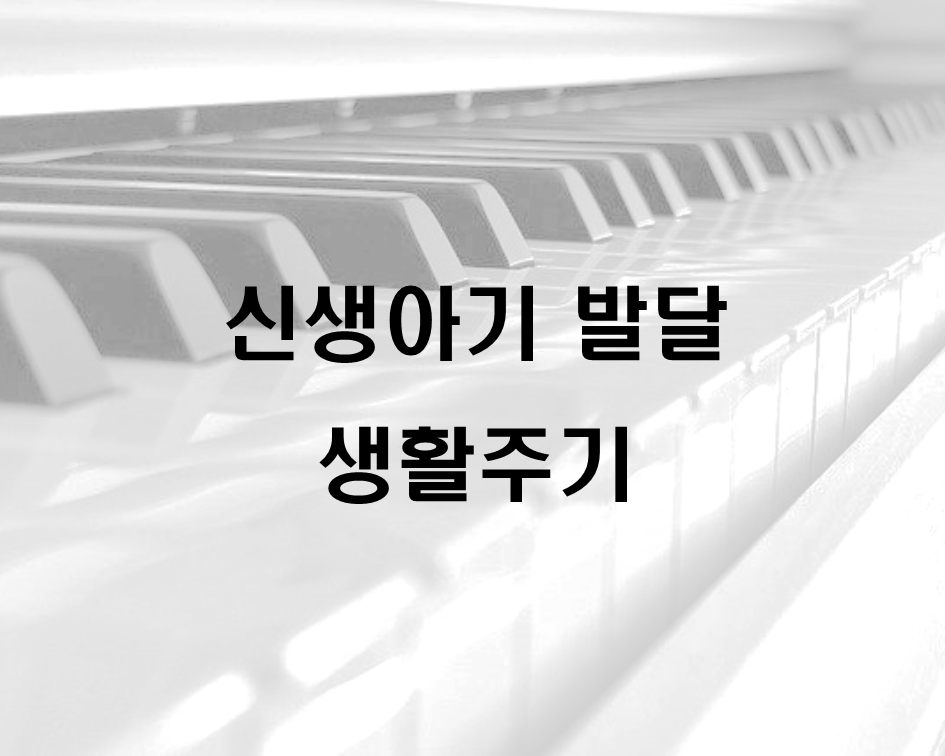  신생아기 발달 생활주기