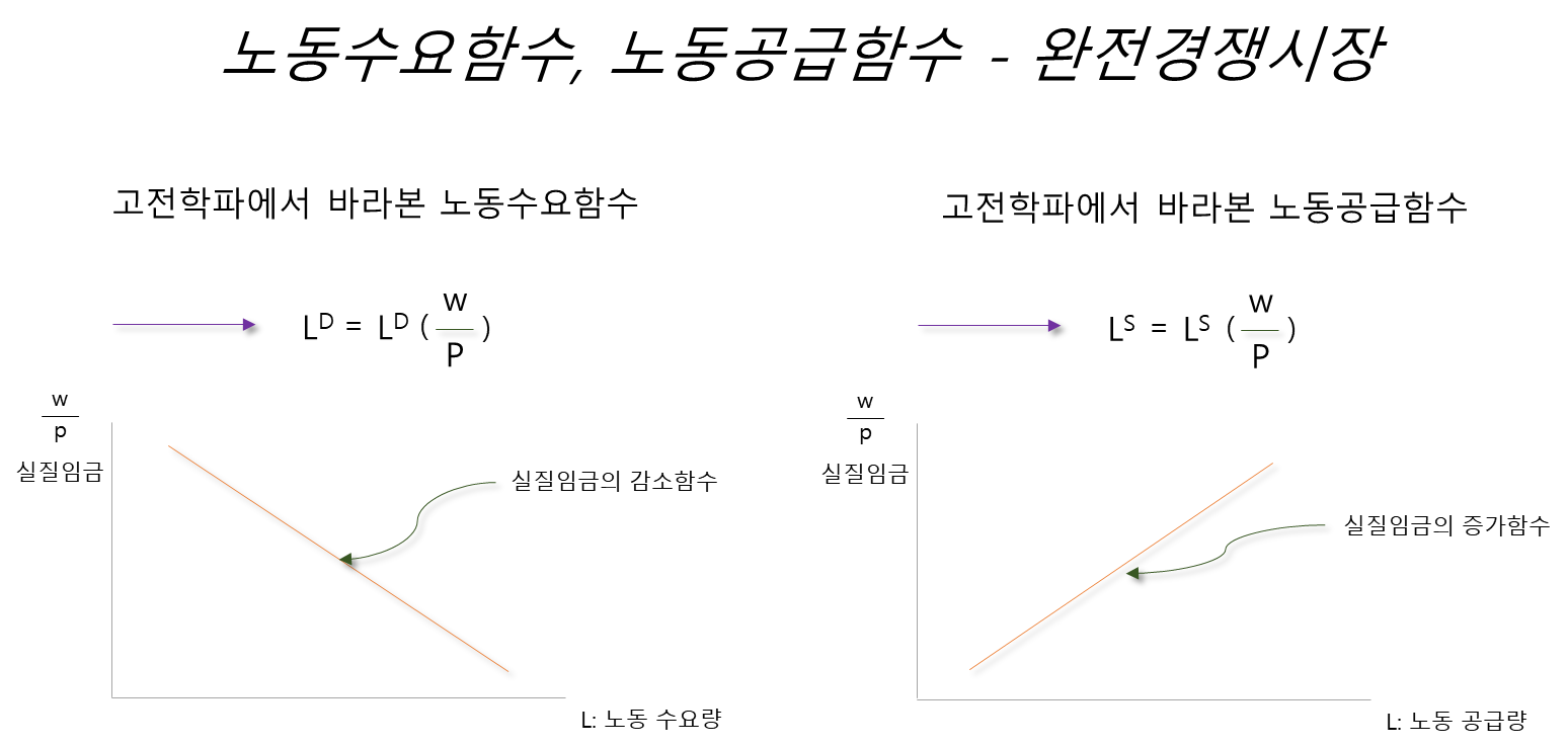 노동수요함수, 노동공급함수 - 완전경쟁시장