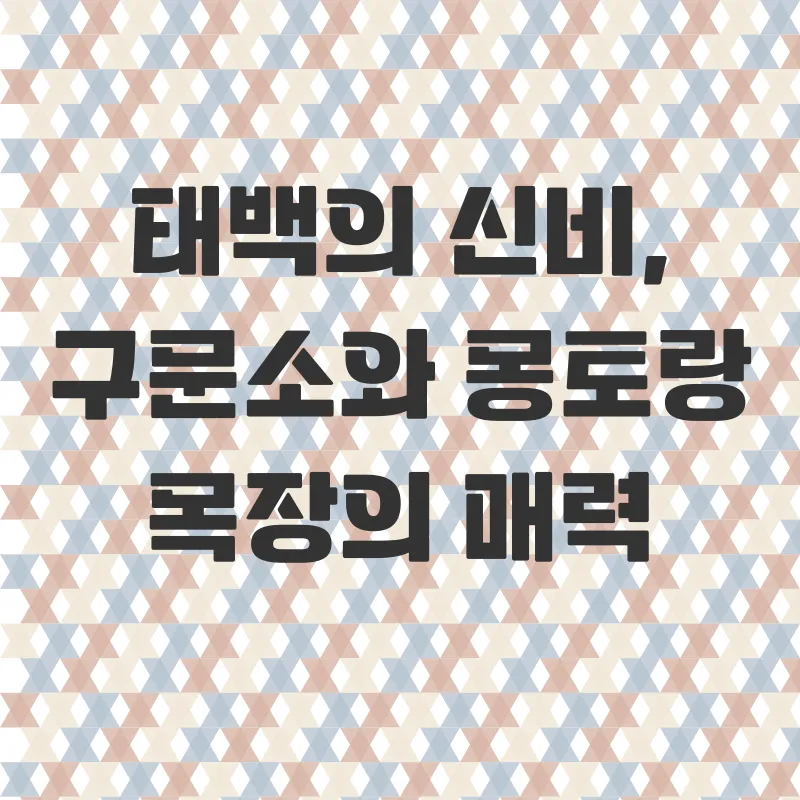 강원도 정선 태백 여행_1