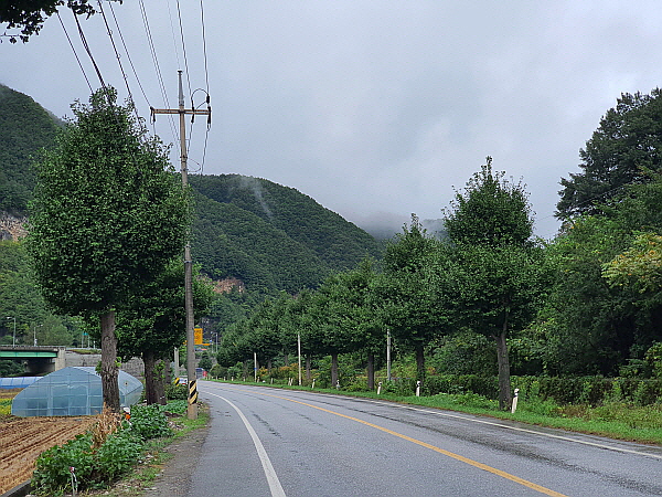 삼척여행