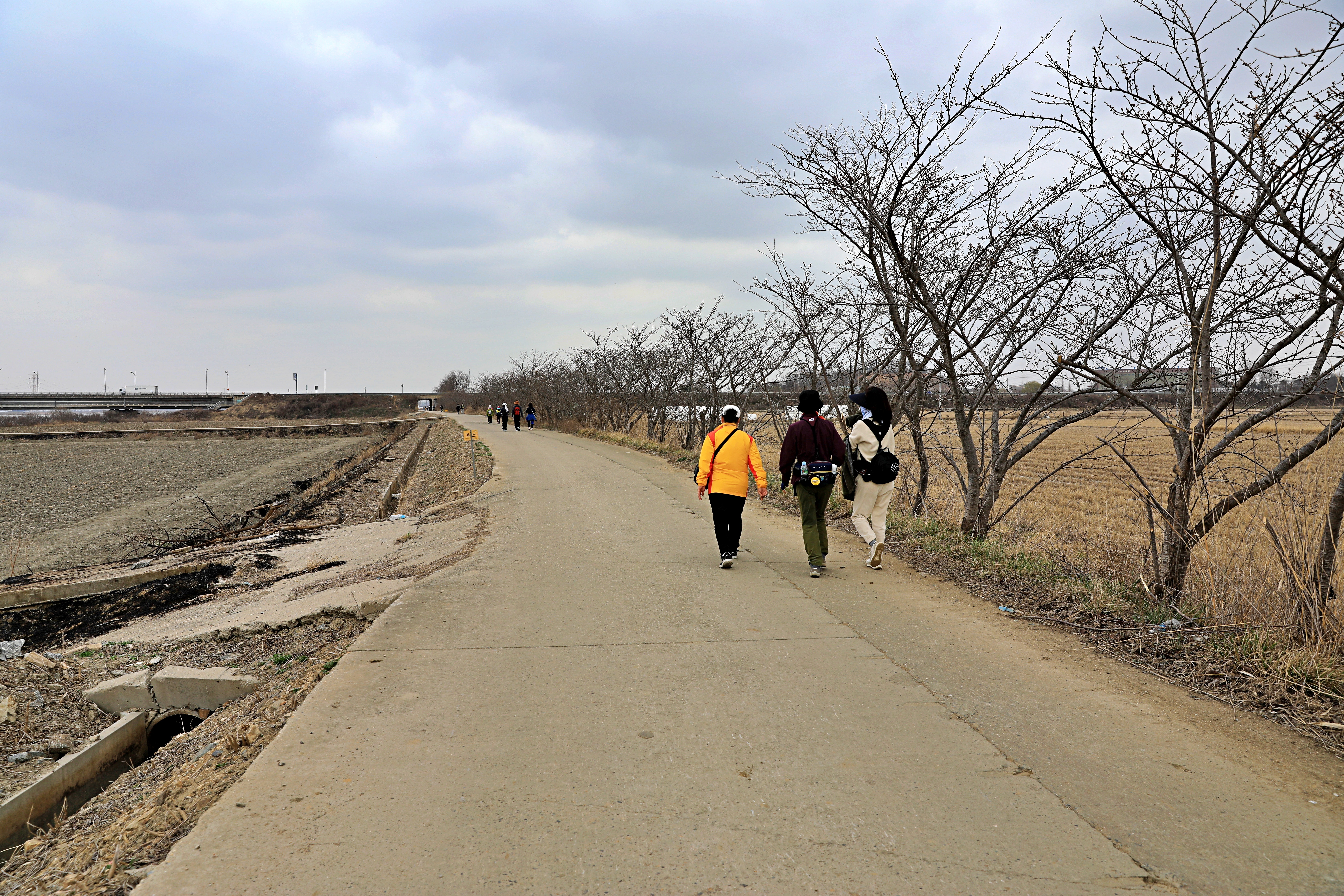 평택섭길(바닷물길) 205