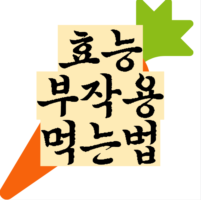  당근 효능 효과적인 섭취 방법