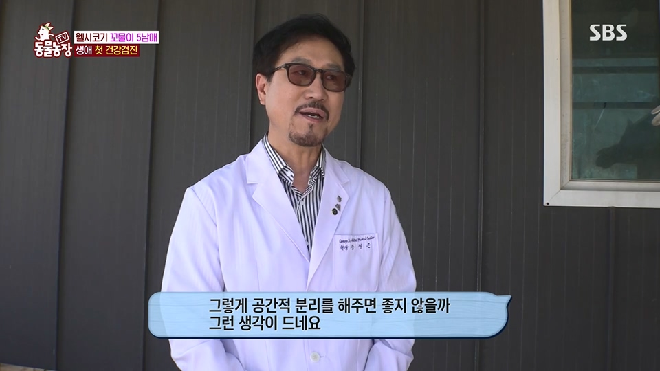 TV 동물농장.E1126.230625p.H264-F1RST.mp4_20230626_204257.743.jpg
