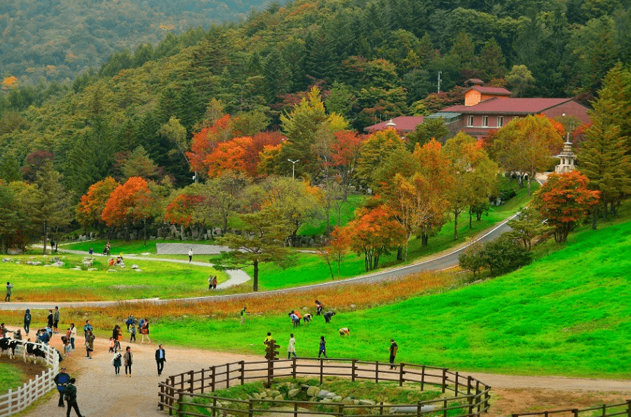 평창 가볼만한곳