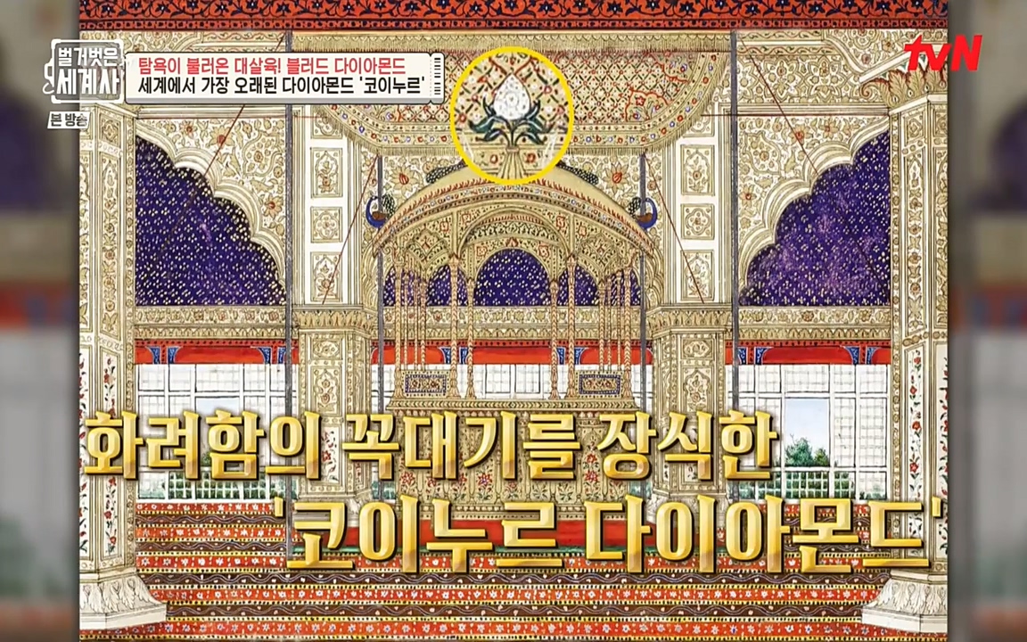 벌거벗은 세계사.E62.220831p-NEXT.mp4_20220905_195742.839.jpg