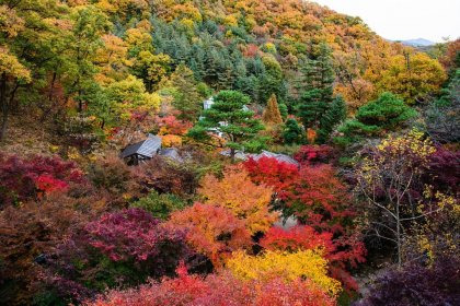 화담숲