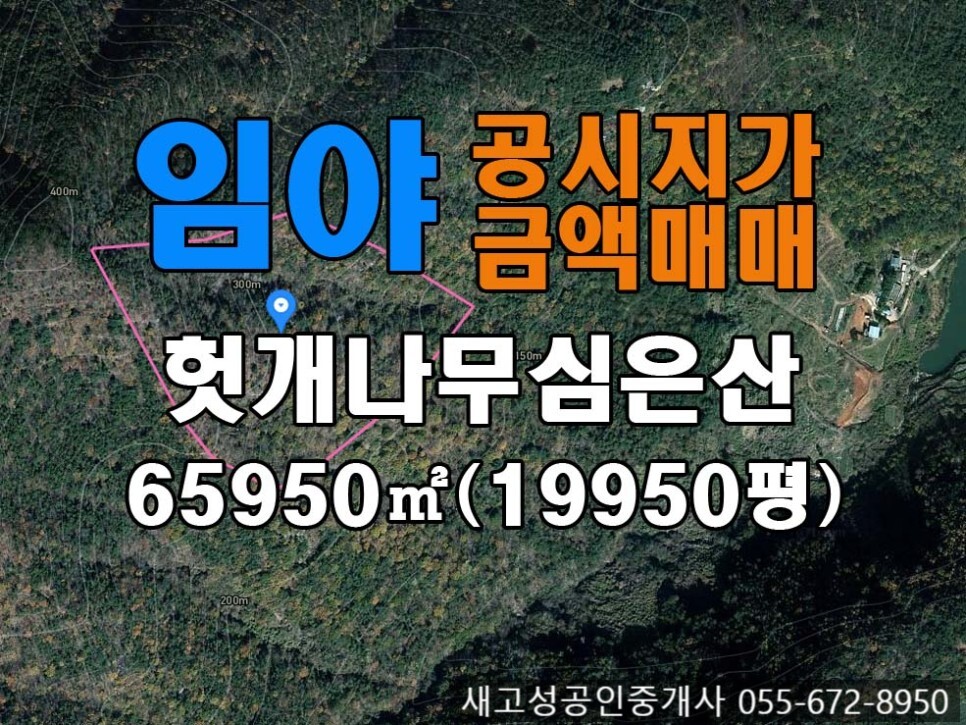  경남고성부동산(임야) ㅡ 헛개나무 식재되어 있는 임야 공시지가금액매매