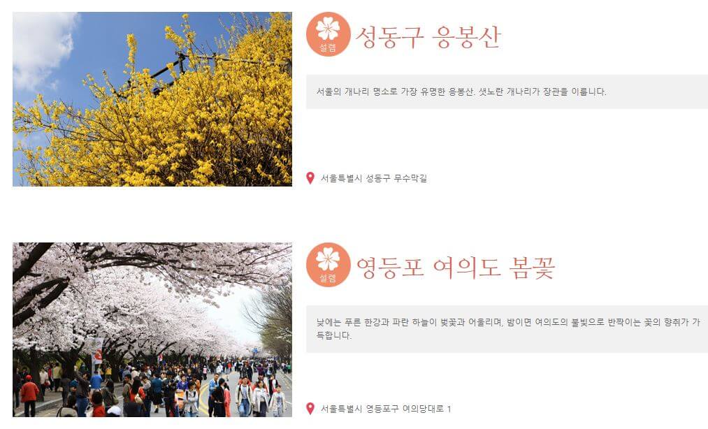 도시에서 즐기는 봄꽃 여행, 서울, 봄꽃으로 물들다. 서울 꽃길 소개