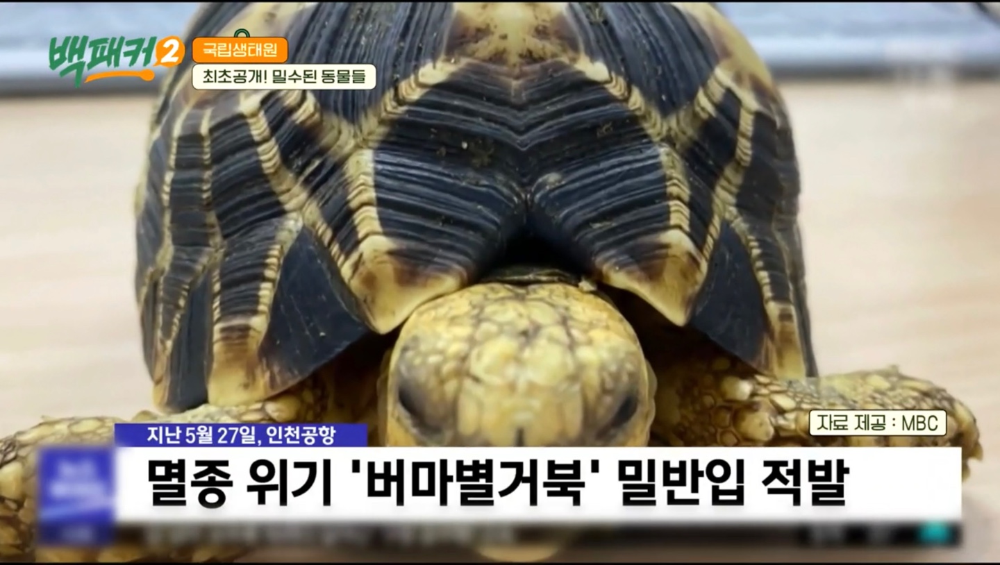 백패커2 X 국립생태원 입장료&amp;#44;시간&amp;#44;위치 정보