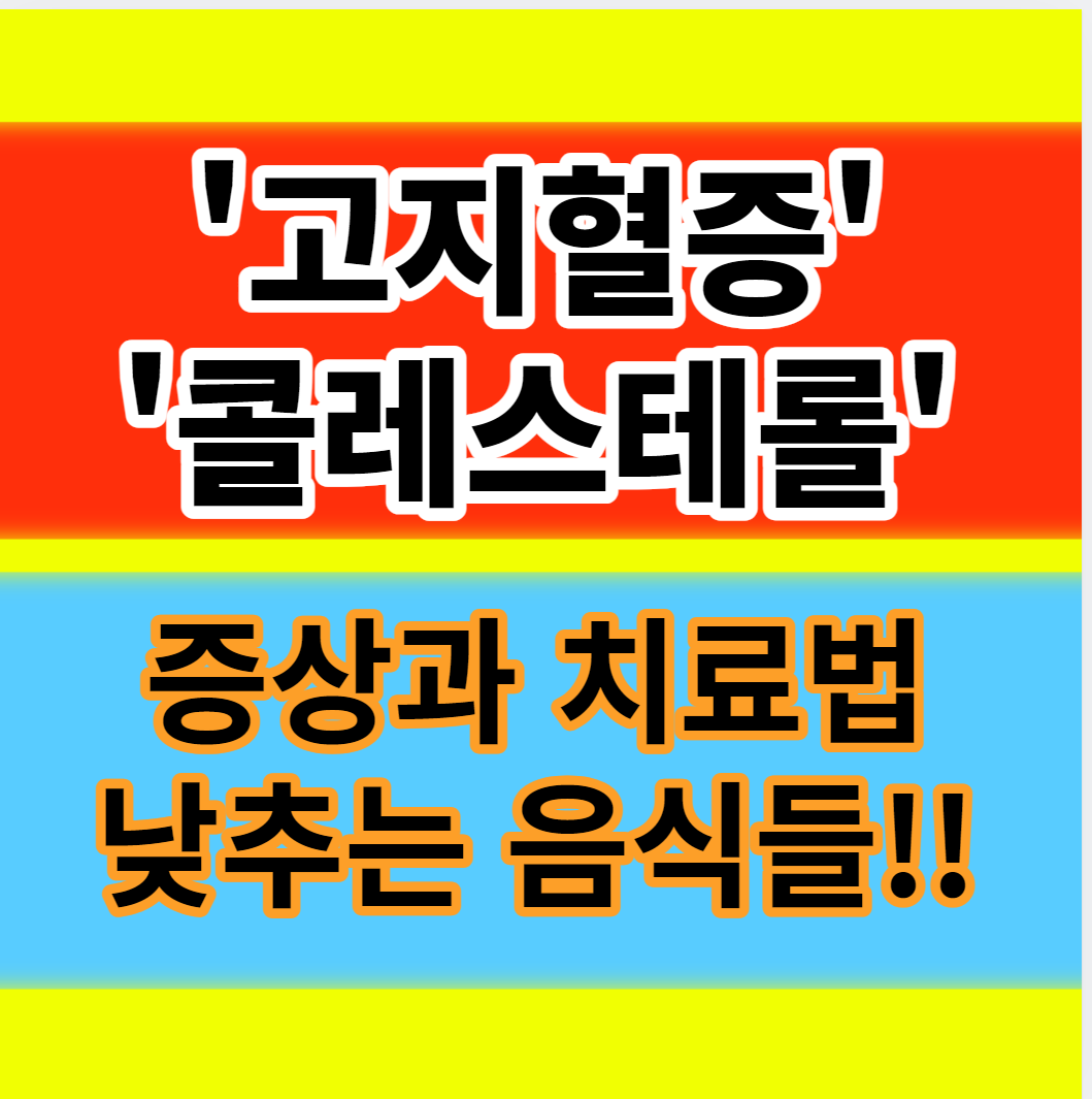  고지혈증에 좋고 콜레스테롤 낮추는 음식 증상 치료방법