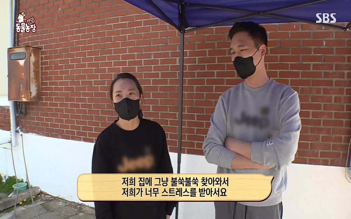 TV 동물농장.E1068.220509p-NEXT.mp4_20220508_173828.188.jpg
