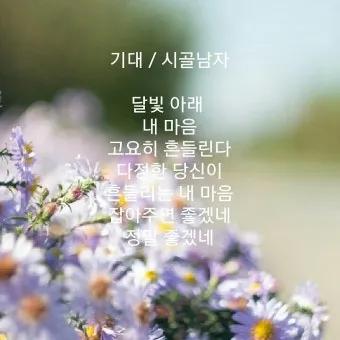 봄 시 모음 이해인 나태주 명시 모음_18