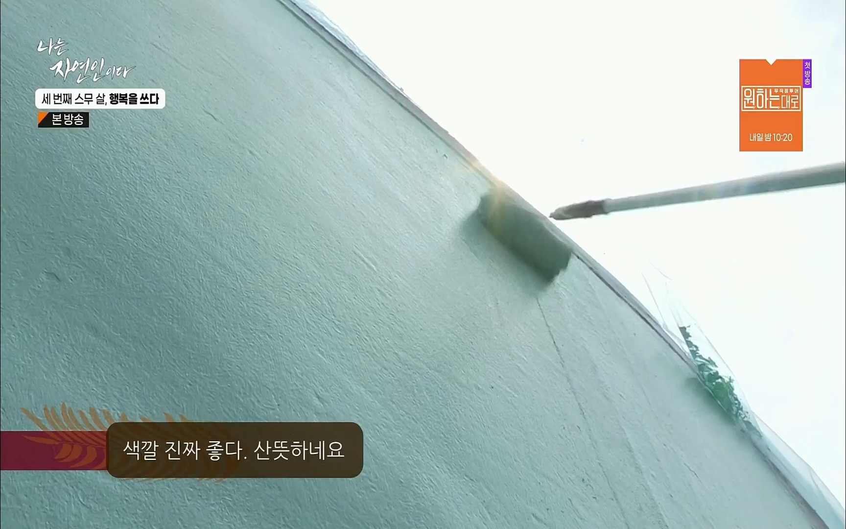 나는 자연인이다.E516.220824p.H264-F1RST.mp4_20220825_164148.860.jpg