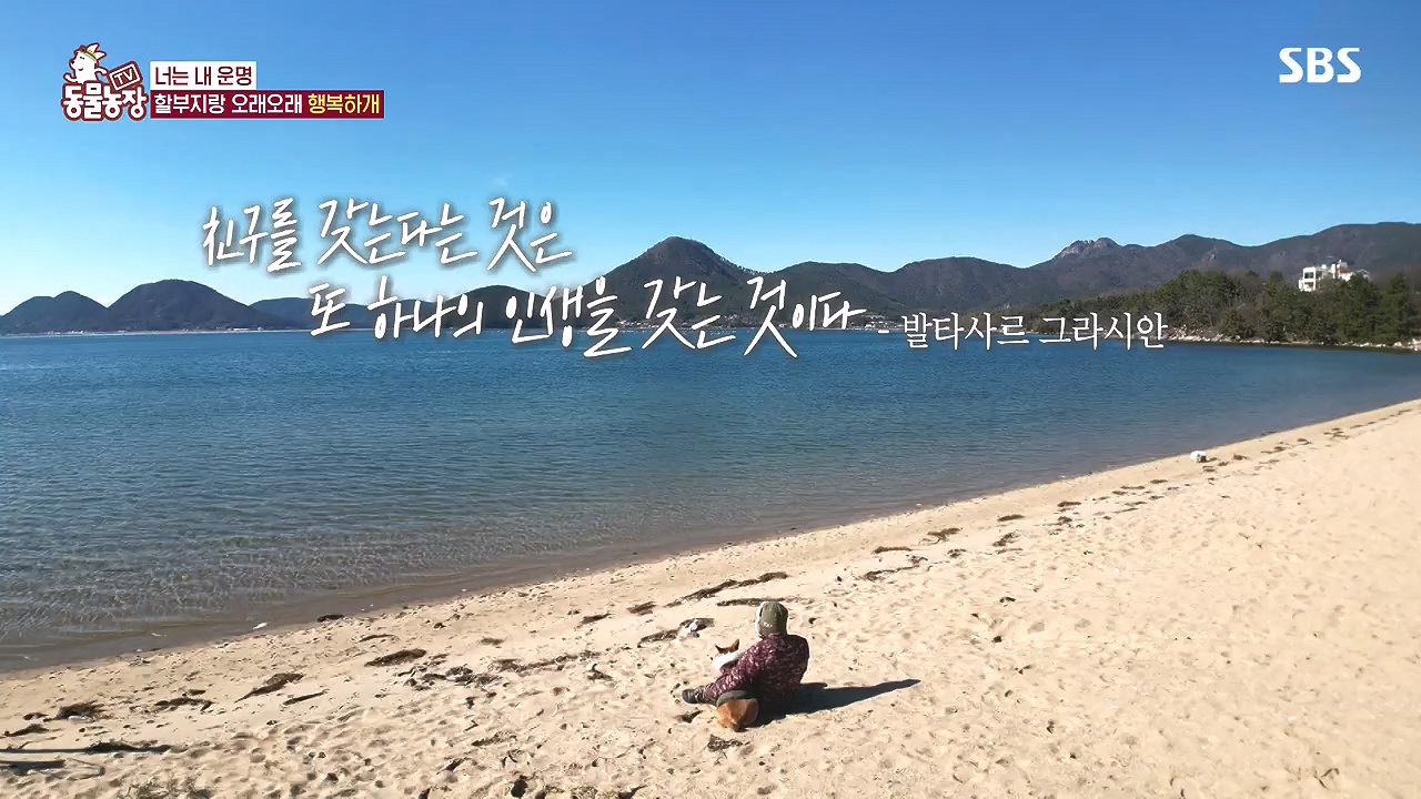 TV 동물농장.E1153.240108p-NEXT.mp4_20240107_173849.029.jpg