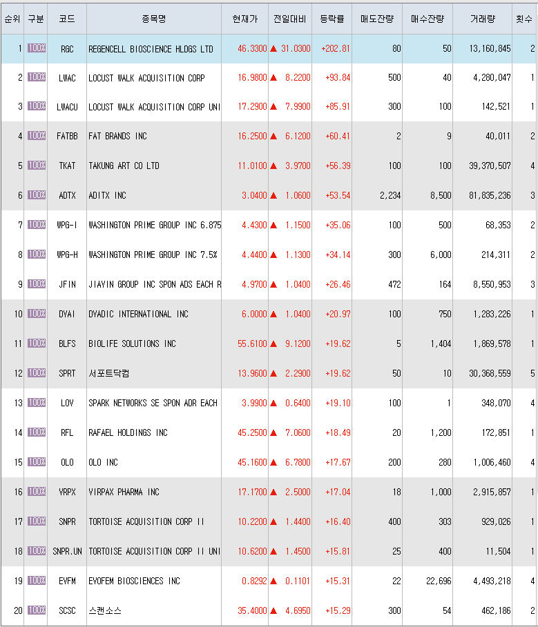  8월25일 미국주식 상승률 상위 종목 TOP 300