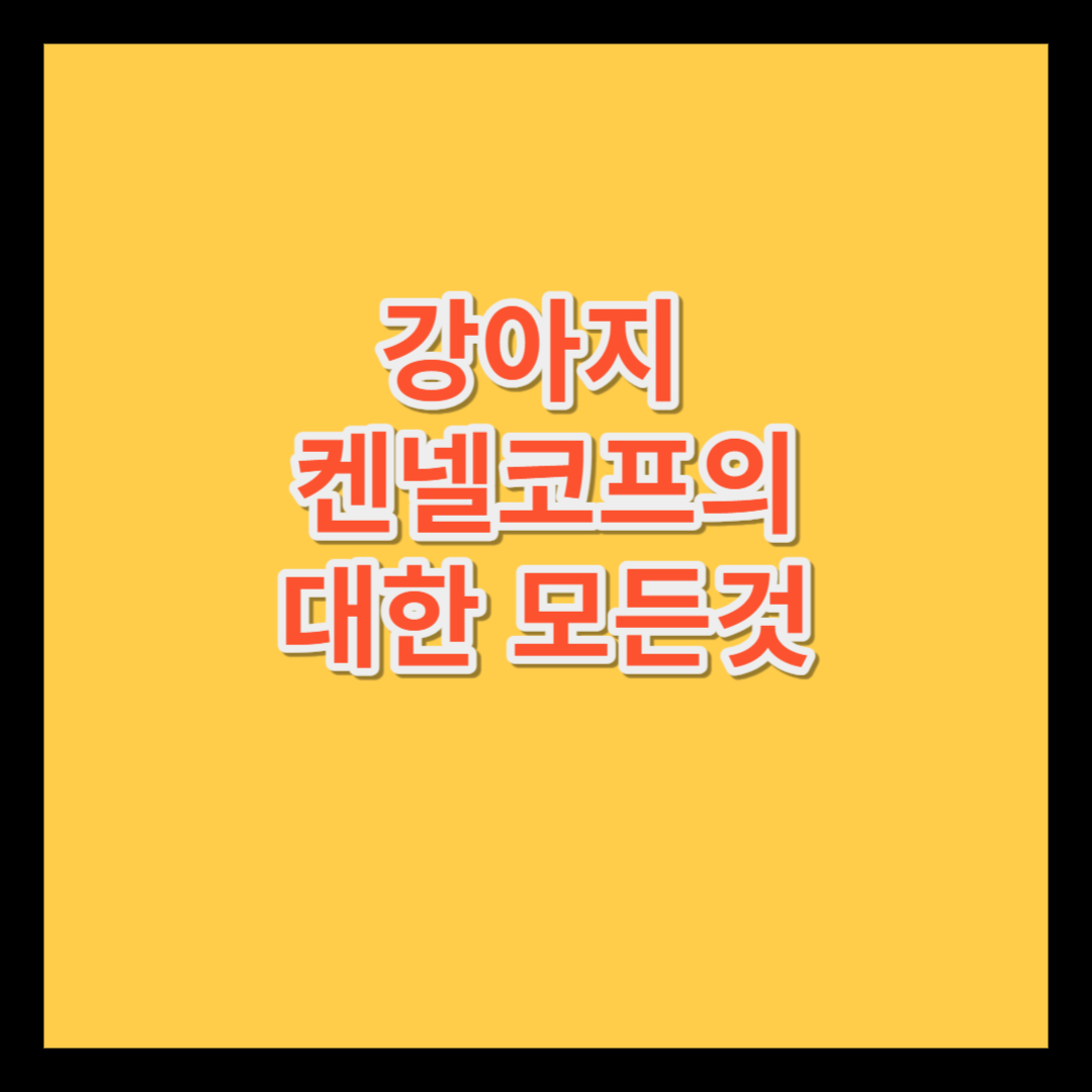 코프 이미지